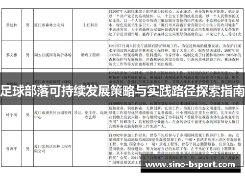 足球部落可持续发展策略与实践路径探索指南