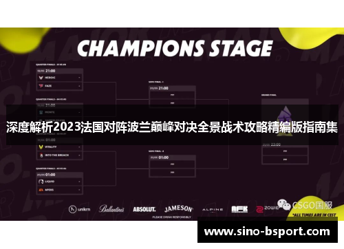 深度解析2023法国对阵波兰巅峰对决全景战术攻略精编版指南集 深度解析2023法国对阵波兰巅峰对决全景战术攻略精编版指南集