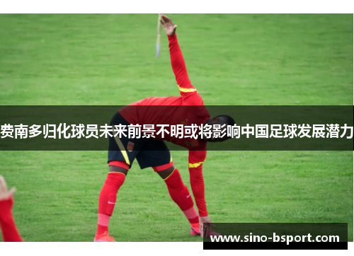 费南多归化球员未来前景不明或将影响中国足球发展潜力