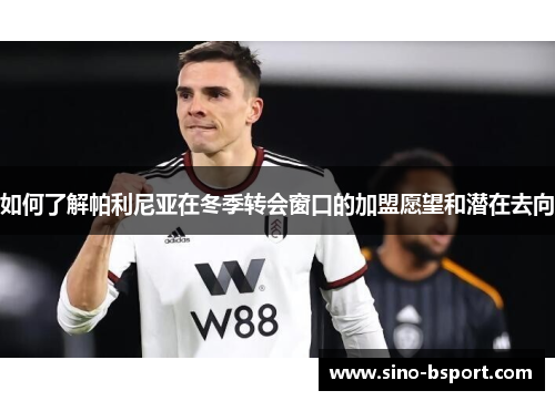 如何了解帕利尼亚在冬季转会窗口的加盟愿望和潜在去向