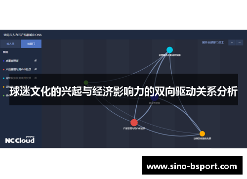 球迷文化的兴起与经济影响力的双向驱动关系分析