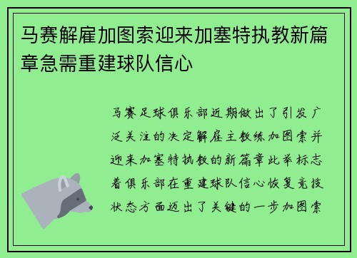 马赛解雇加图索迎来加塞特执教新篇章急需重建球队信心